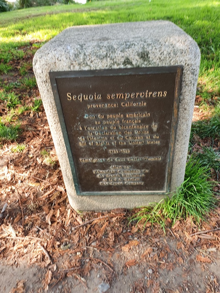 Séquoia 