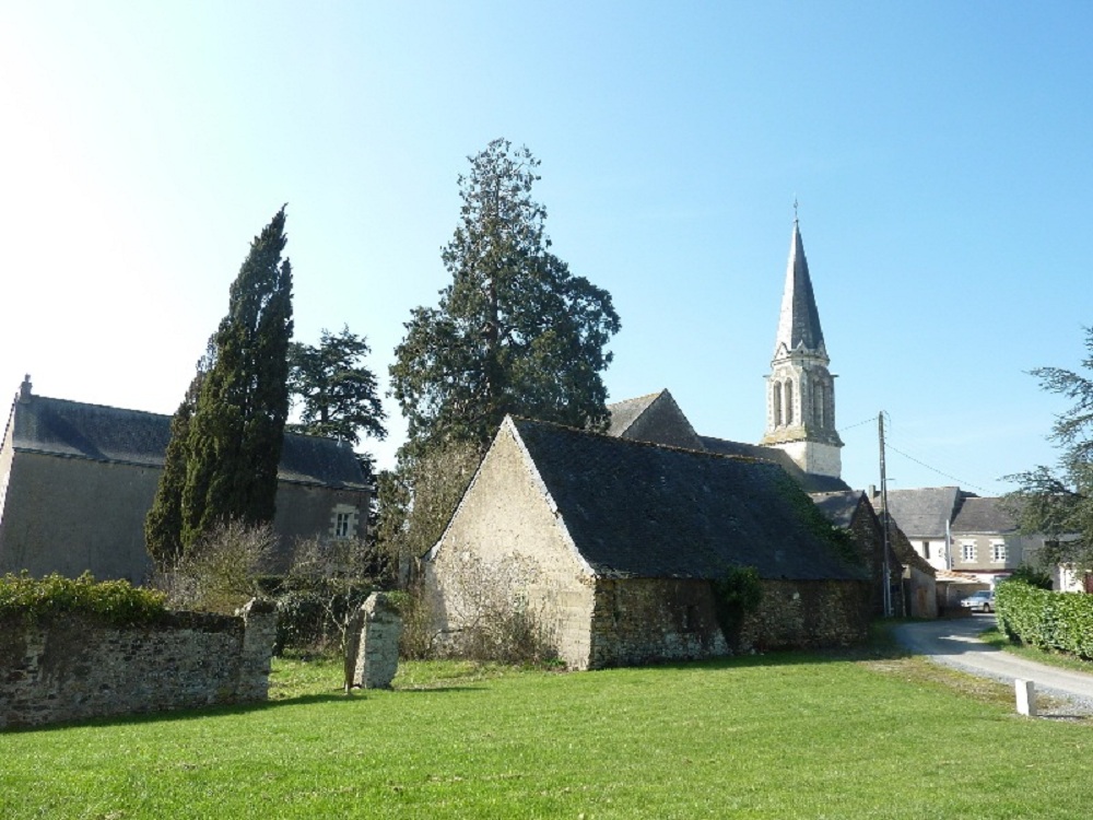 Séquoia géant à Pouillé les Coteaux