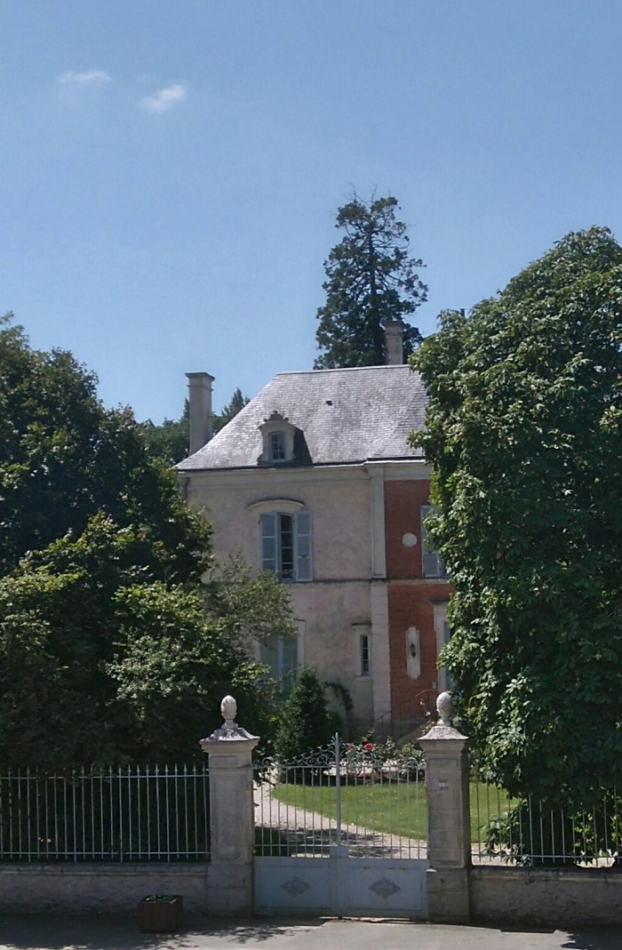 Séquoia géant 