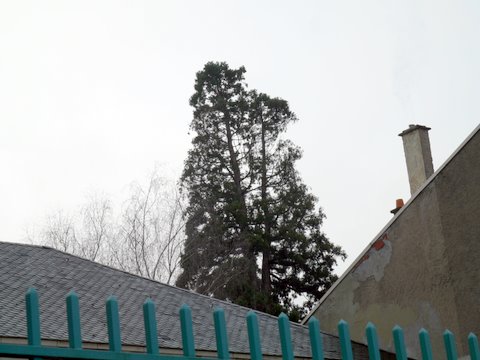 Vue de la Rue du Général de Gaulle © Michel Le Floch