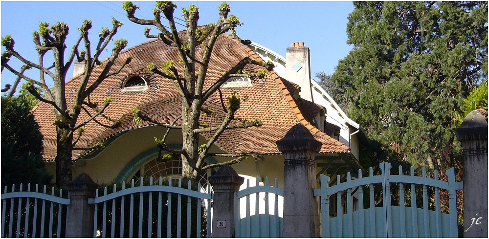 Séquoia géant à Nancy