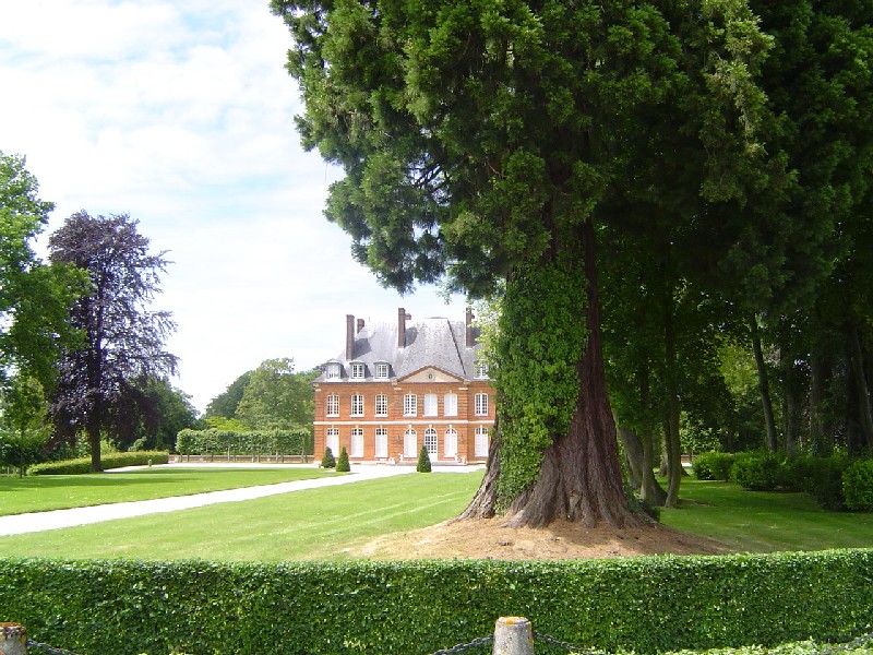 Séquoia géant et Château