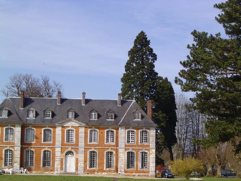 Séquoia géant à bosc Benard Commin route d'Infreville