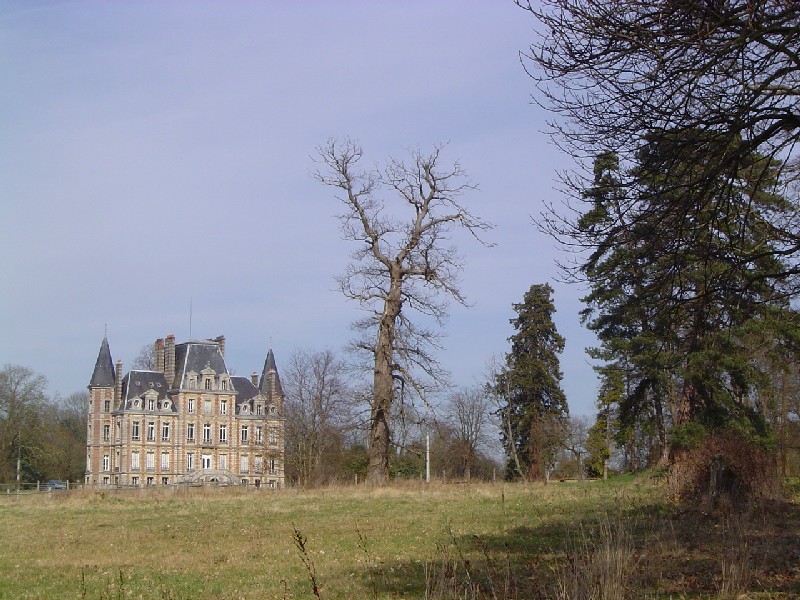 Séquoia géant au Château de Bosgouet