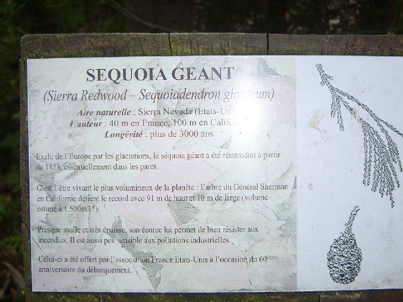 Signalétique