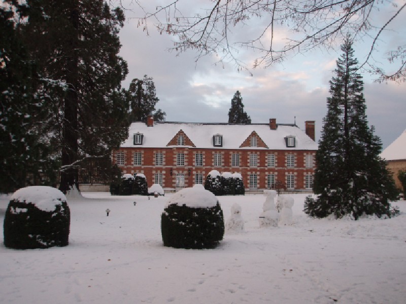 Séquoias géants au château des Buspins