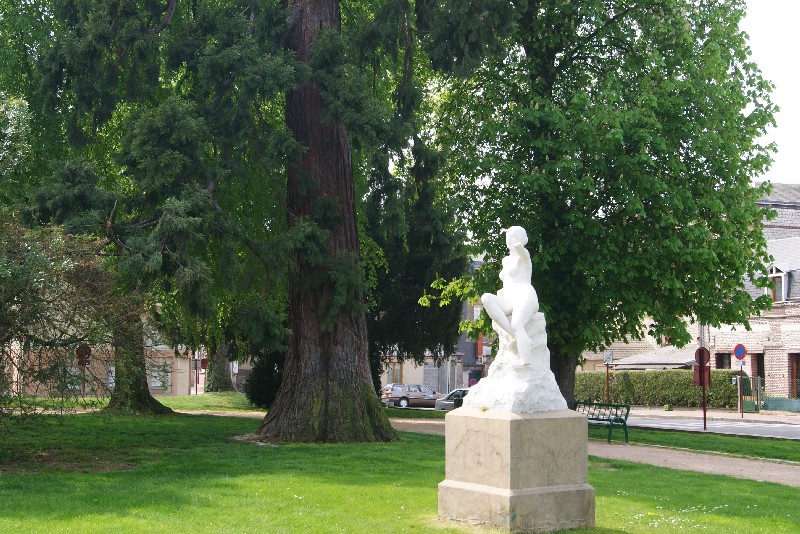 Séquoia géant et statue