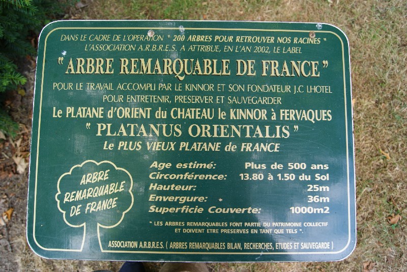 Arbre remarquable
