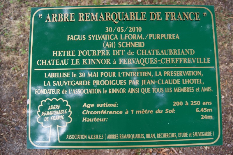 Arbre remarquable