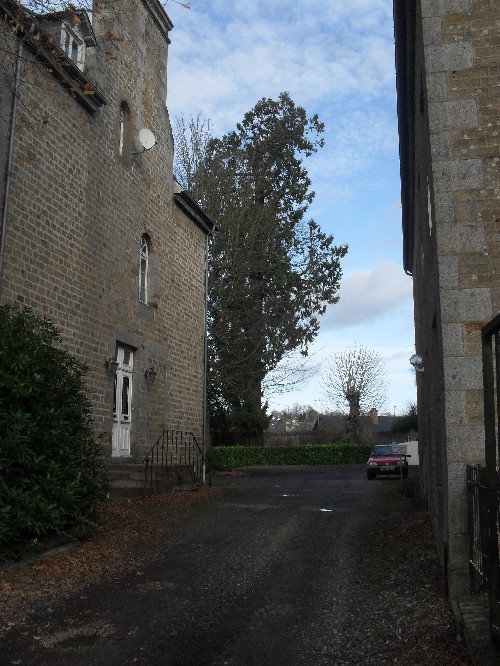 Séquoia géant à Flers