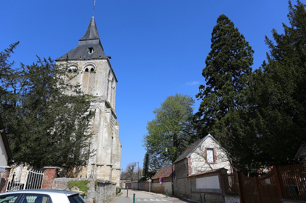 Séquoia géant, Heudebouville © Stéphane Sudre