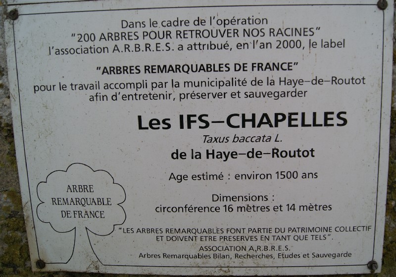 Panneau