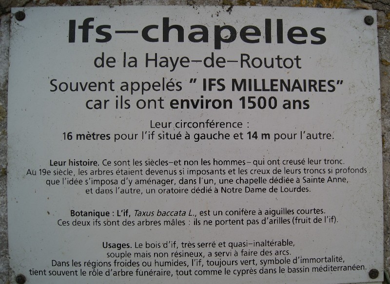 Panneau