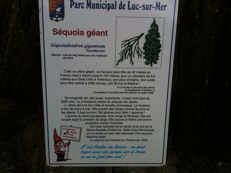 La petite leçon de botanique