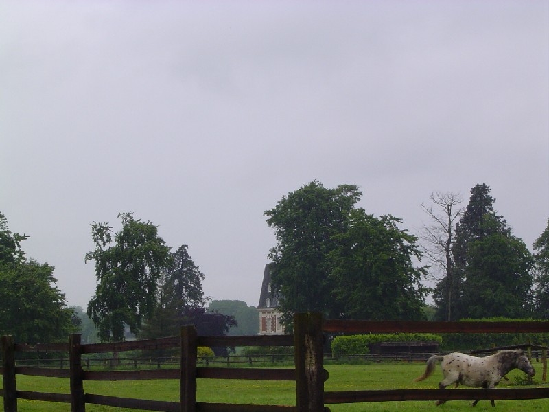 Séquoias géants et poney à Meulles