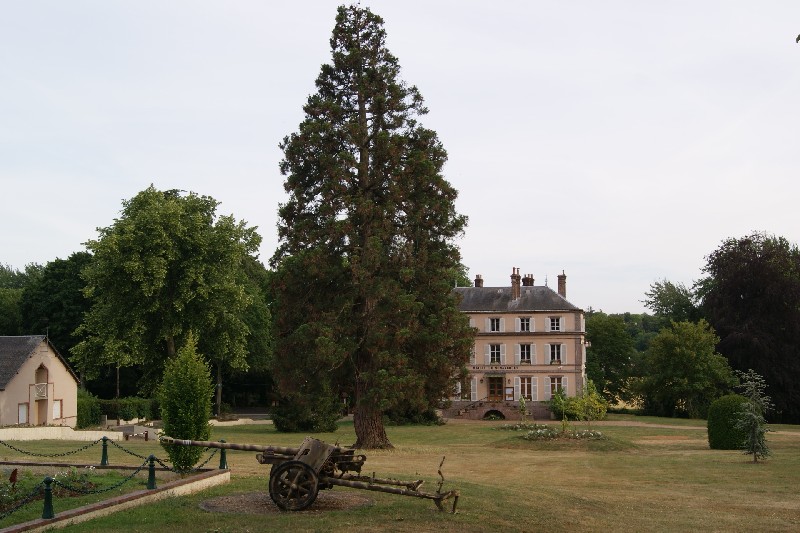 Séquoia géant à Nonancourt