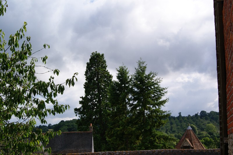 Séquoia géant à St Jean de Livet
