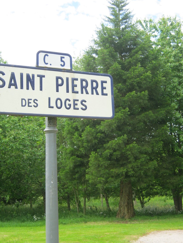Séquoia géant à St Pierre des Loges