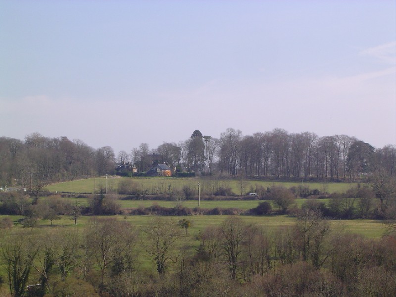 Séquoia géant au Château d'Aguesseau