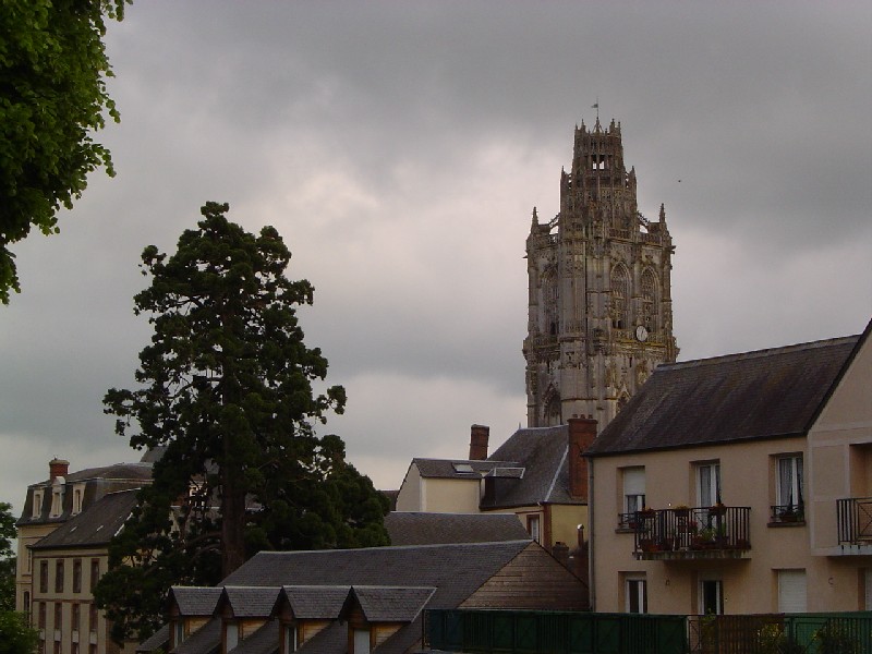 Séquoia géant et la tour de la Madeleine