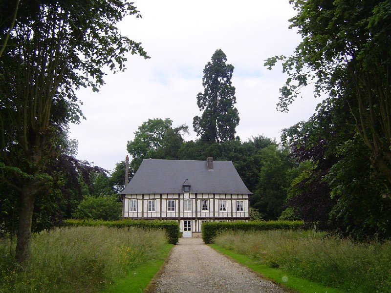 Séquoia géant à Vieux Manoir