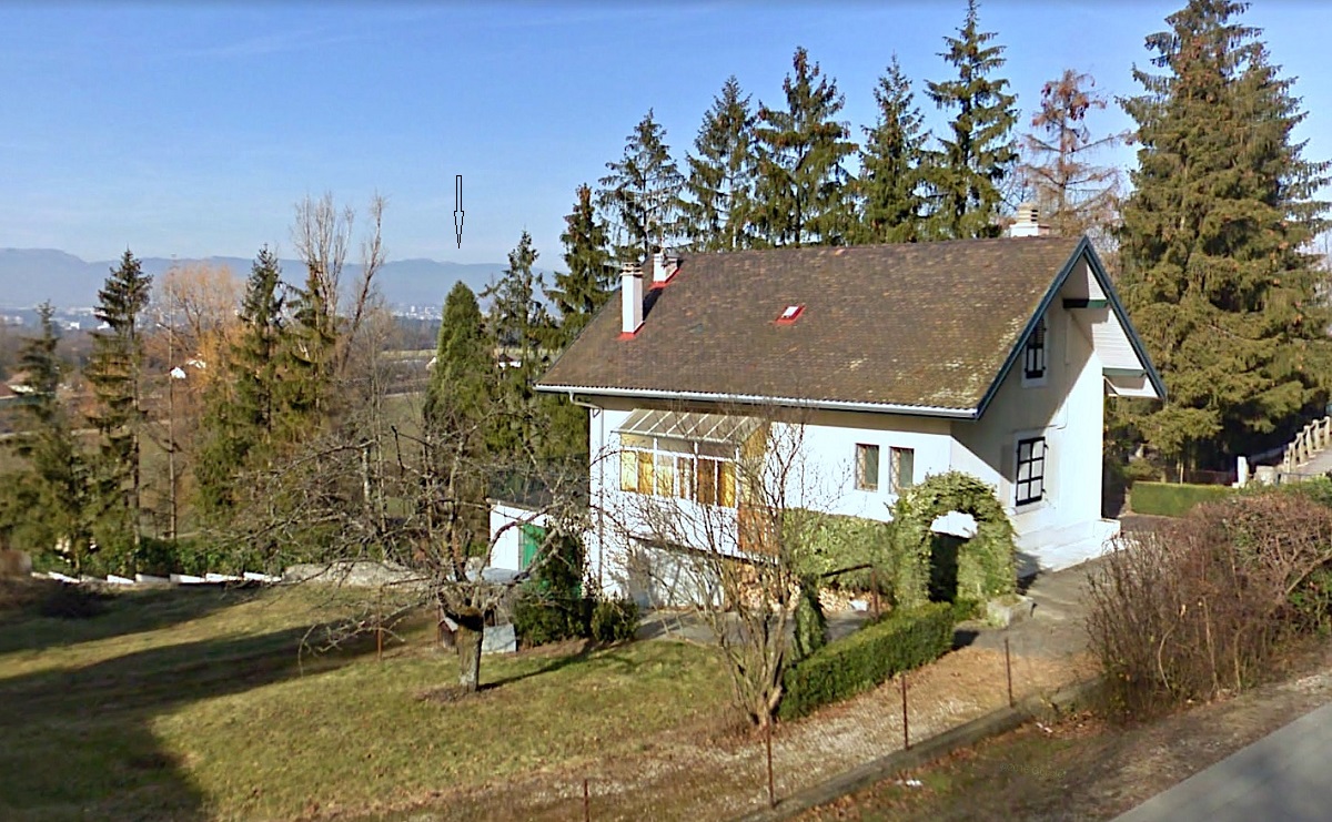 Séquoia géant à Bossey