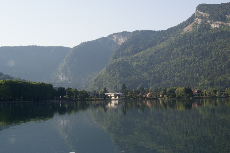 Séquoia géant à Nantua