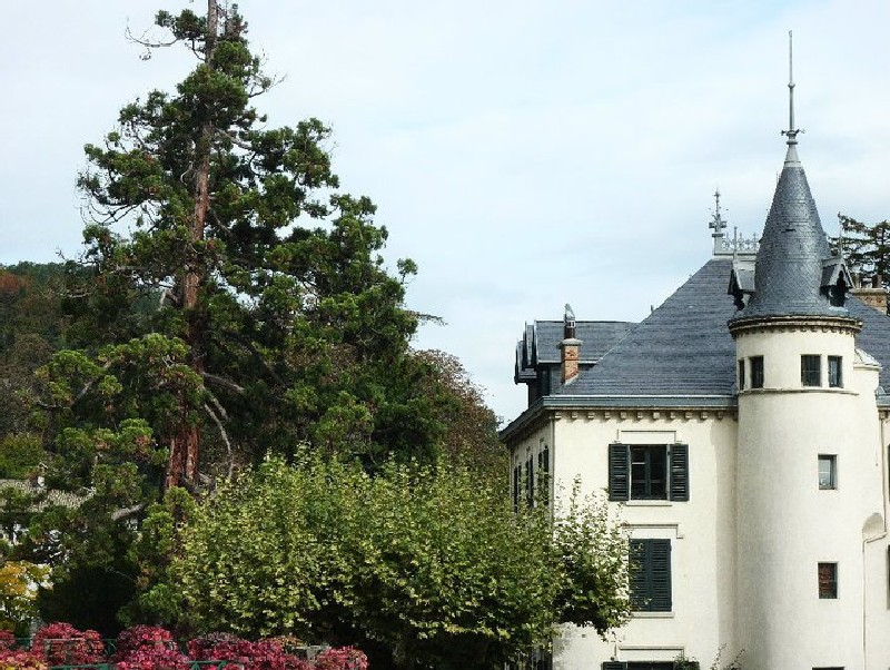 Séquoia géant au Château de Seyssinet Pariset