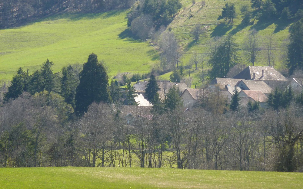 Séquoia géant à St Guillaume