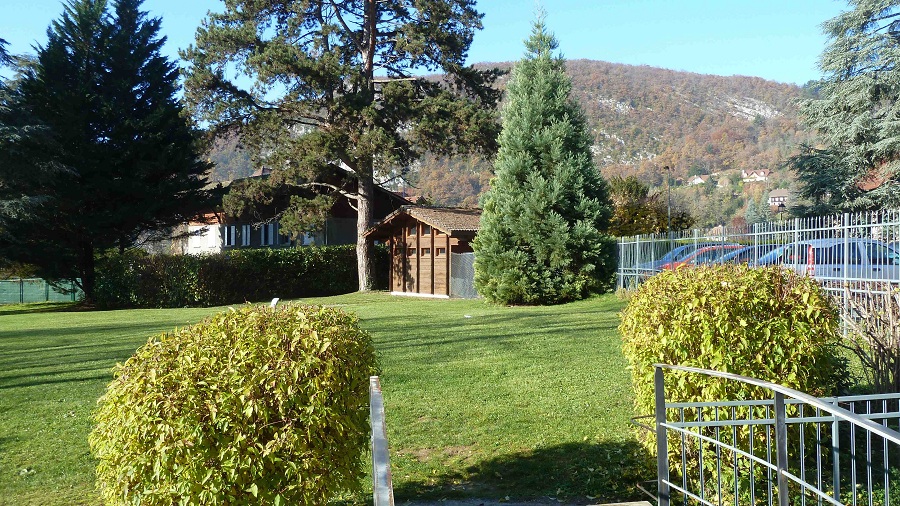 Séquoia géant à Talloires