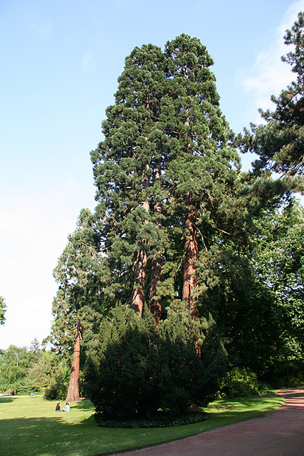 Jardin des Plantes, Rouen