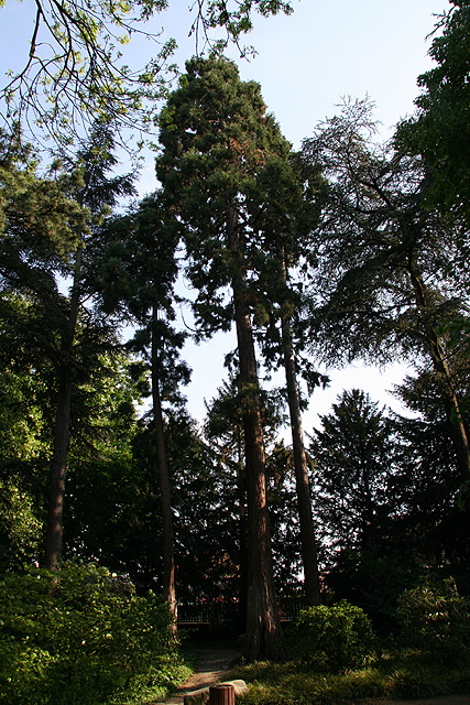 Jardin des Plantes à Rouen 