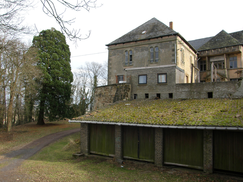 Séquoia géant à Varsberg © Régis André