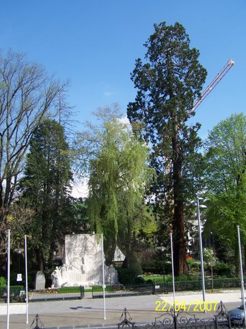 Squoia gant, place du Square