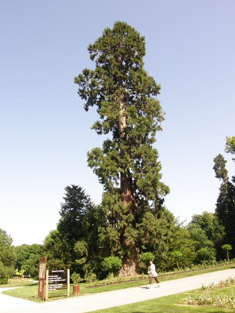 Parc de la Pépinière  