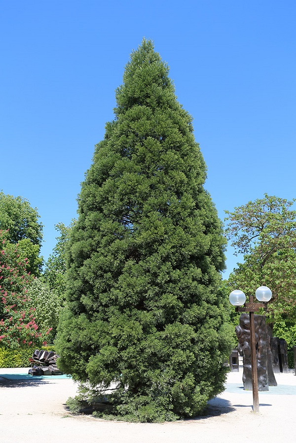 Parc de la Pépinière 