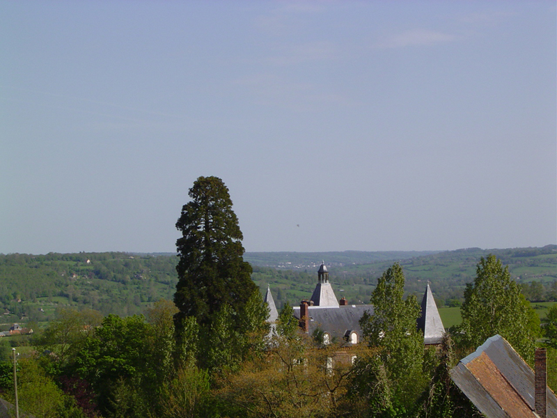Séquoia géant dominant Saint-Michel-de-Livet © Eric Touya